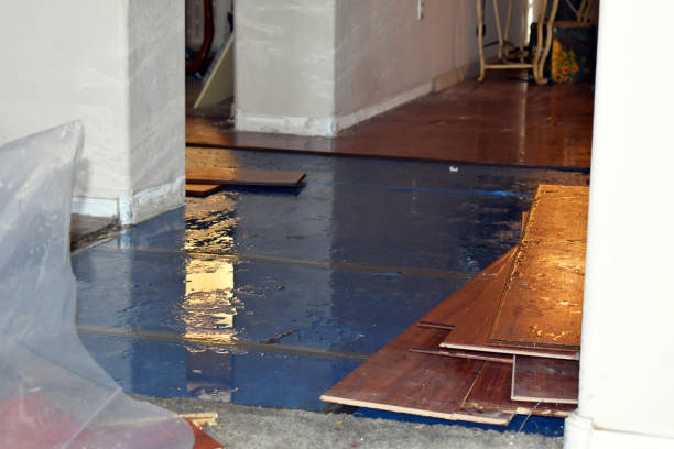 Professional Water Damage technician working in Fall River, MA
